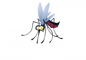 Ahora sí espanta a los mosquitos