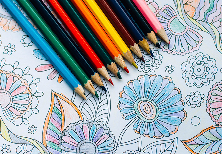 Por qué colorear es tan relajante para los adultos (y algunos consejos y  productos para comenzar a pintar) - La Tercera