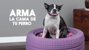 Video: Aprende a hacer la cama de tu perro