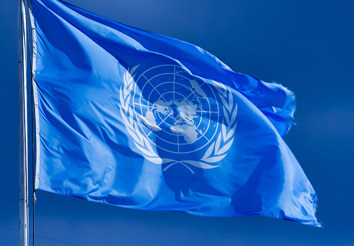 El mero mero de la ONU