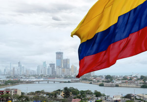 La paz germina ya
