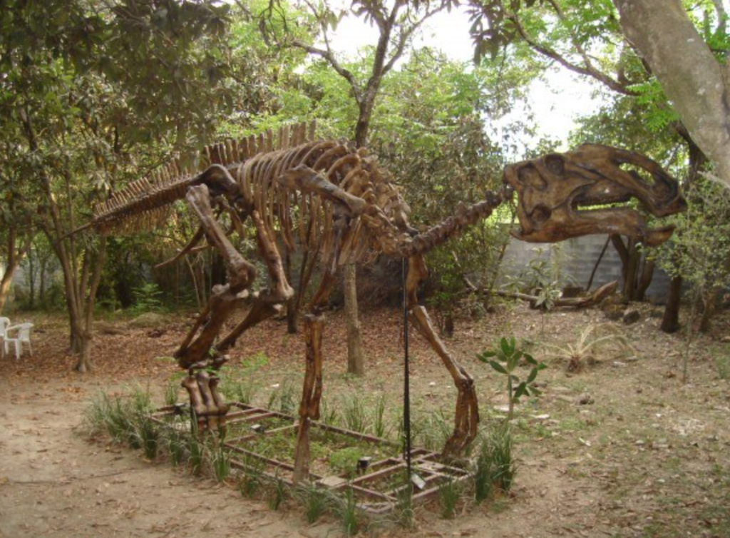 Casa de la Cultura, dinosaurio