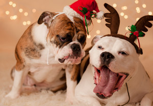 Navidad tiempo de unión y muchas pero muchas preguntas