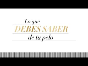Lo que debes saber de tu pelo