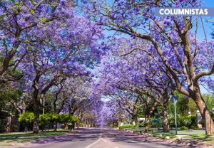 ¿Qué flor da la bienvenida a la primavera?