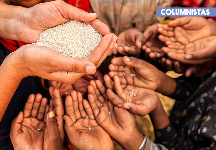 Falta de alimentos a nivel global