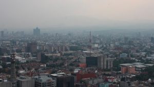 Los autos que no circulan hoy