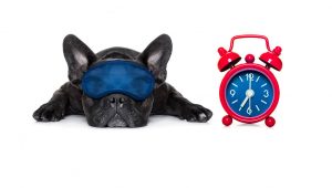 4 rituales para dormir bien