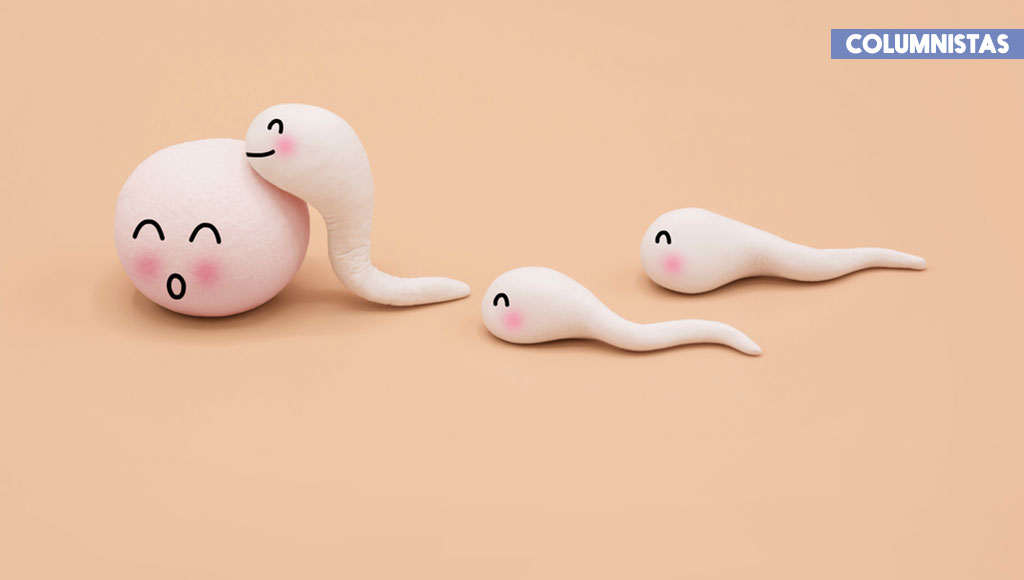 Lo estúpidamente interesante de donar semen