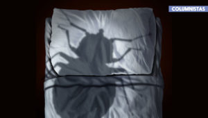 Lo estúpidamente interesante de las visitas nocturnas