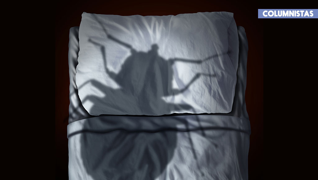 Lo estúpidamente interesante de las visitas nocturnas