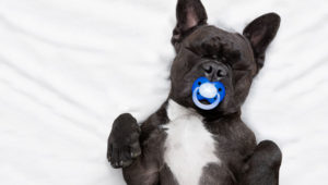 ¿Qué hacer para dormir mejor?