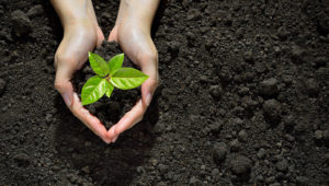 ¿Cómo empezar una vida verde?