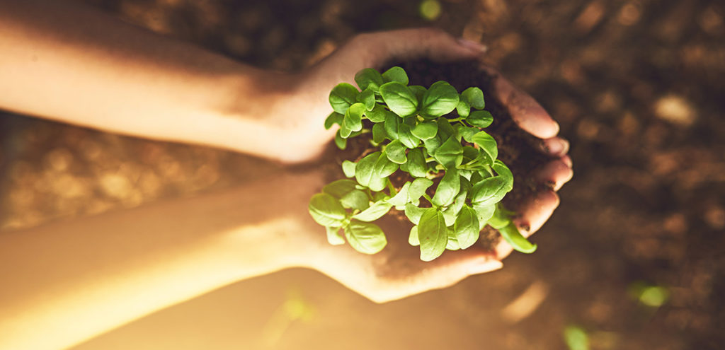 ¿Cómo celebrar al Medio Ambiente?
