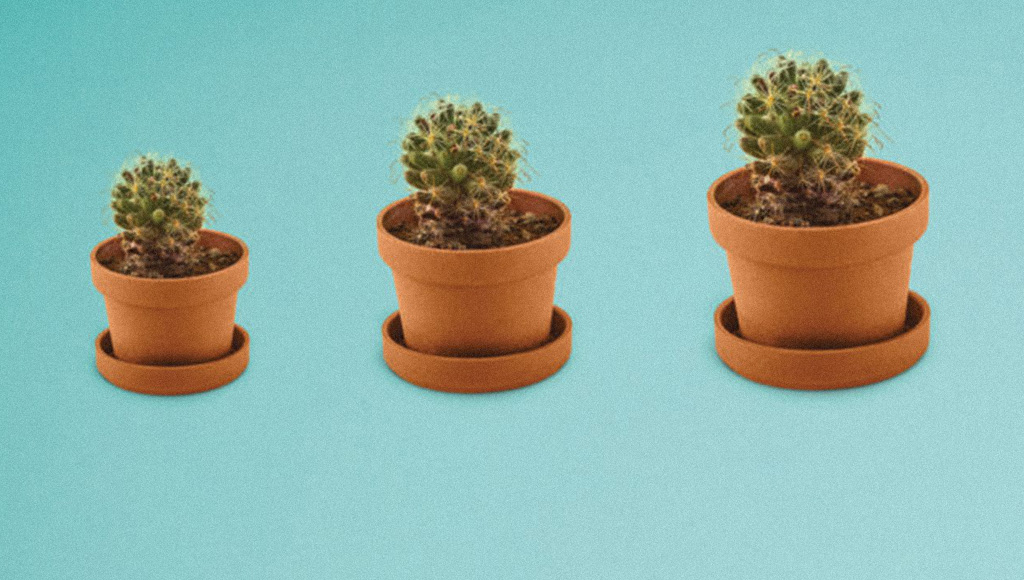 10 pasos para crecer en tu empresa