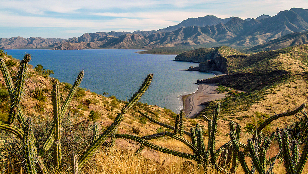 La Baja: una ruta que sabe a cerveza, vino y mar