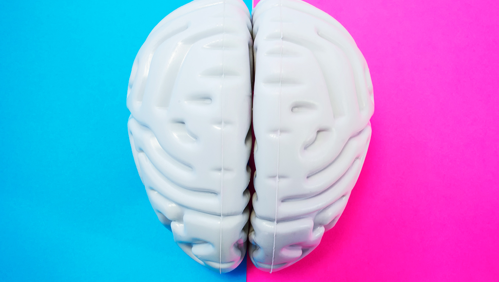 9 claves de la neurociencia para mejorar el aprendizaje 
