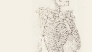 ¿Cómo cuidar la salud de tus huesos?