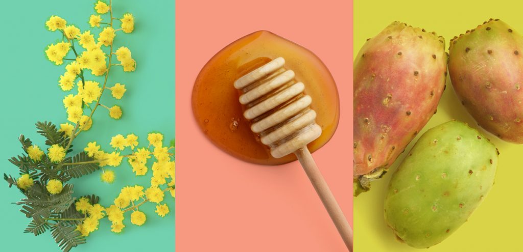 ¿Cómo cuidar tu piel con ingredientes mexicanos?