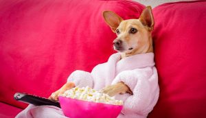 Todas las películas que se estrenarán en Netflix este 2022