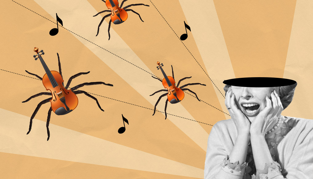 Alertan en CDMX por presencia de araña violinista