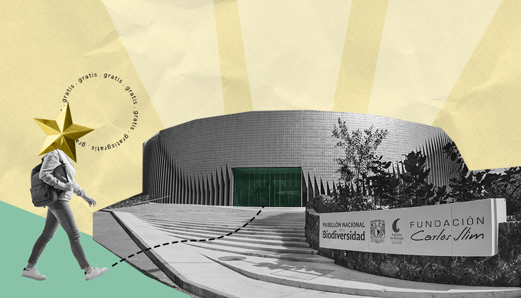 Conoce el nuevo museo gratuito en CDMX