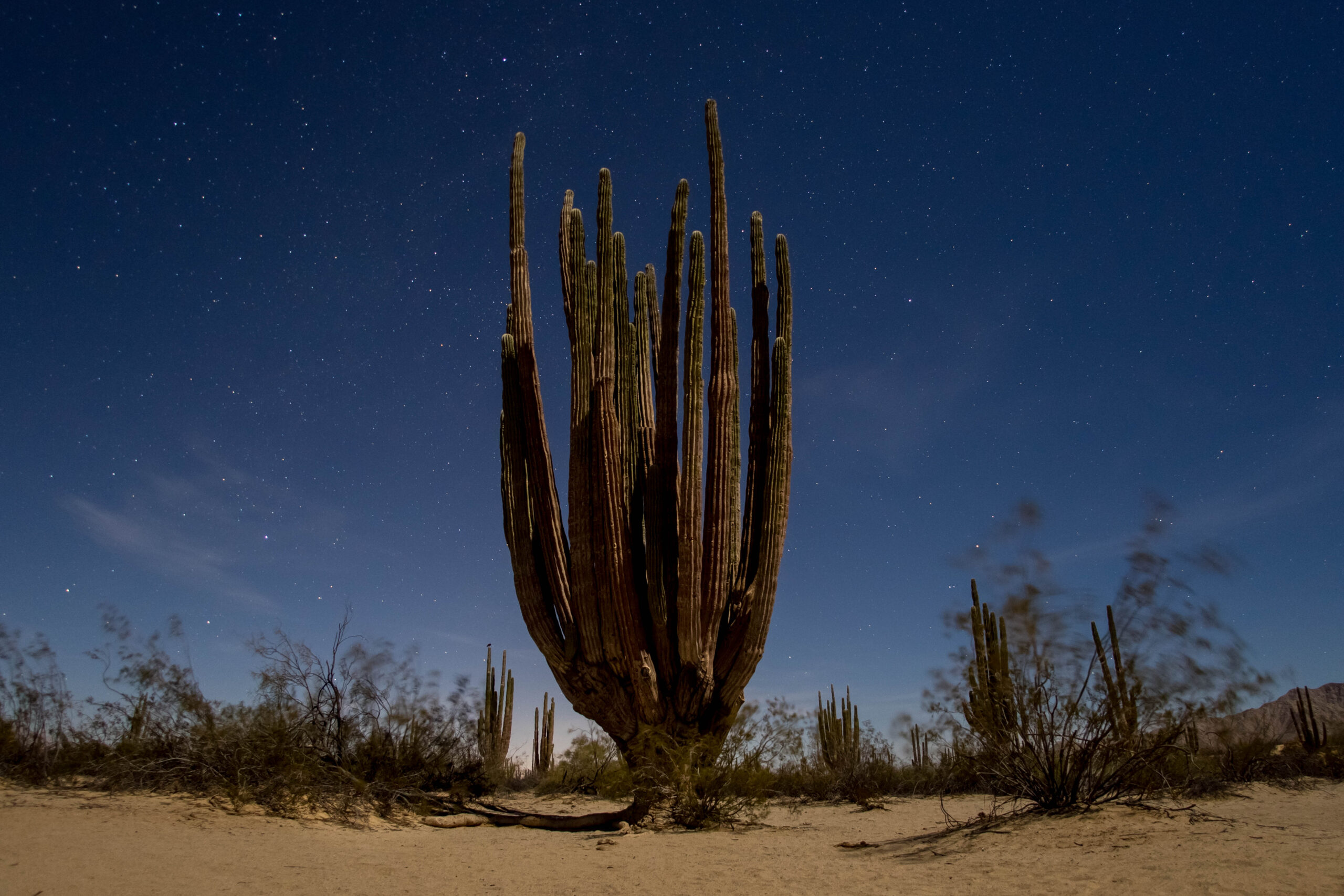 Valle de Guadalupe