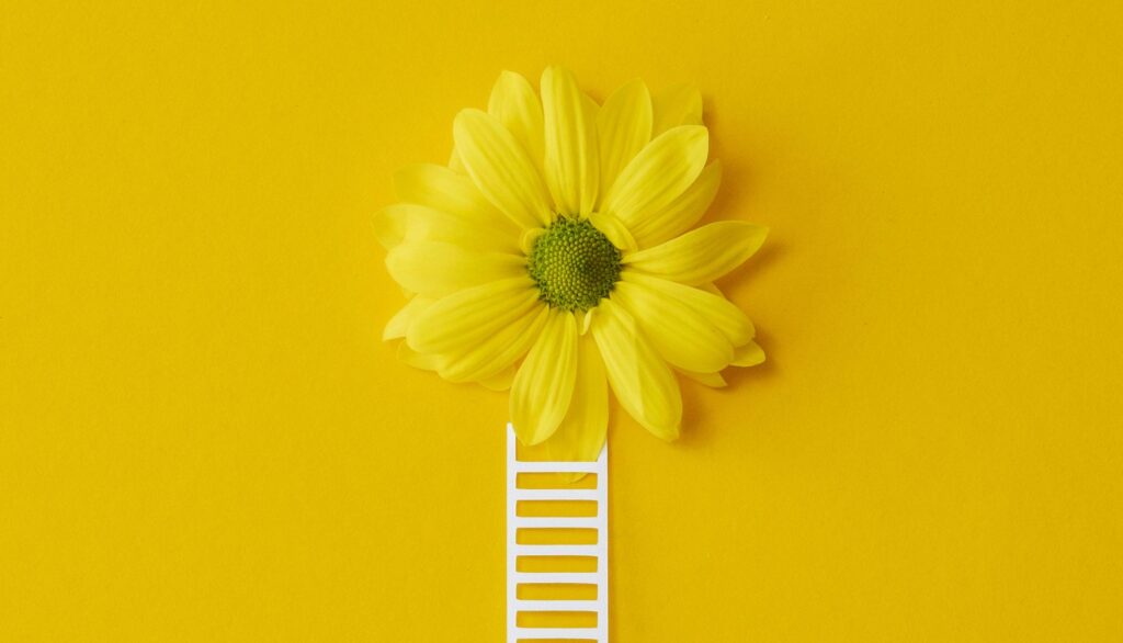 ¿Qué significa regalar flores amarillas? ¿y por qué hay un día para hacerlo?