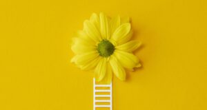 ¿Qué significa regalar flores amarillas? ¿y por qué hay un día para hacerlo?