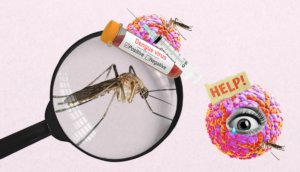 Pican, pican… ¡Tips para salvarte del Dengue!