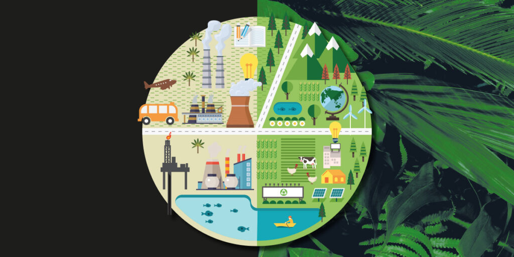 Step by step contra el cambio climático