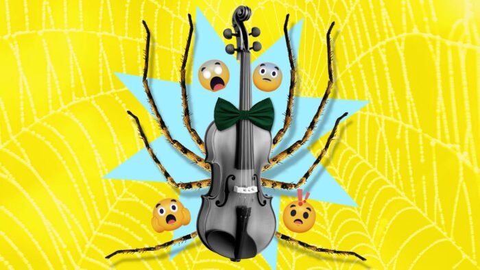 Todo lo que debes saber de la araña violinista