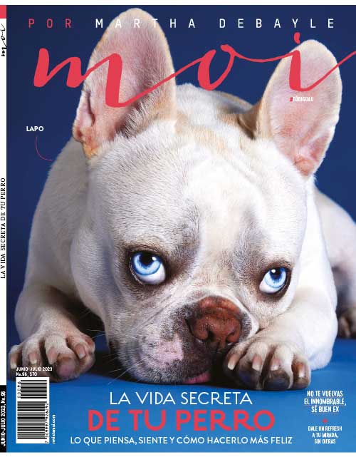 Revistas Moi