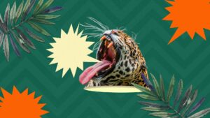 Hear me roar! Frases para subir tu autoestima