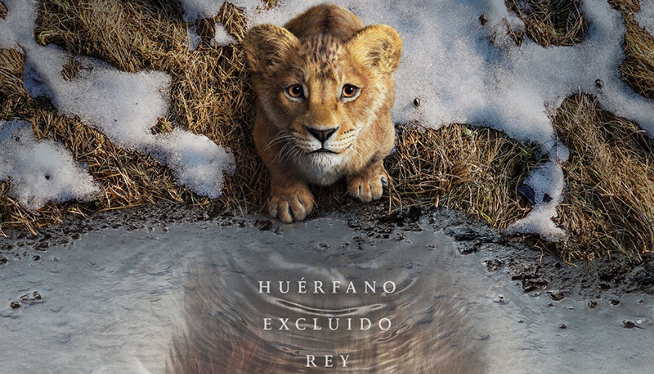 Mufasa: El Rey León: TODO sobre la nueva peli de Disney