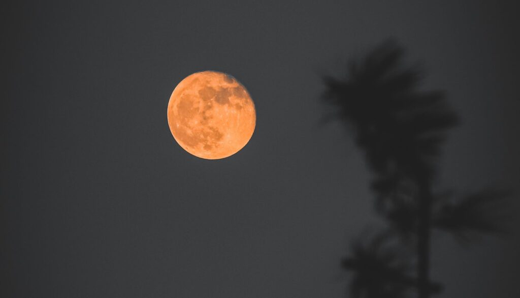 Luna de Flores 2024: Checa los eventos astronómicos de mayo