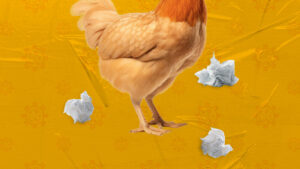 Síntomas de la gripe aviar, H5N1, ¿una nueva pandemia?