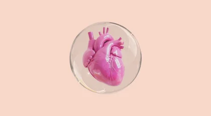 Corazón de papel ¿Cómo cuidar tu colesterol en la menopausia?
