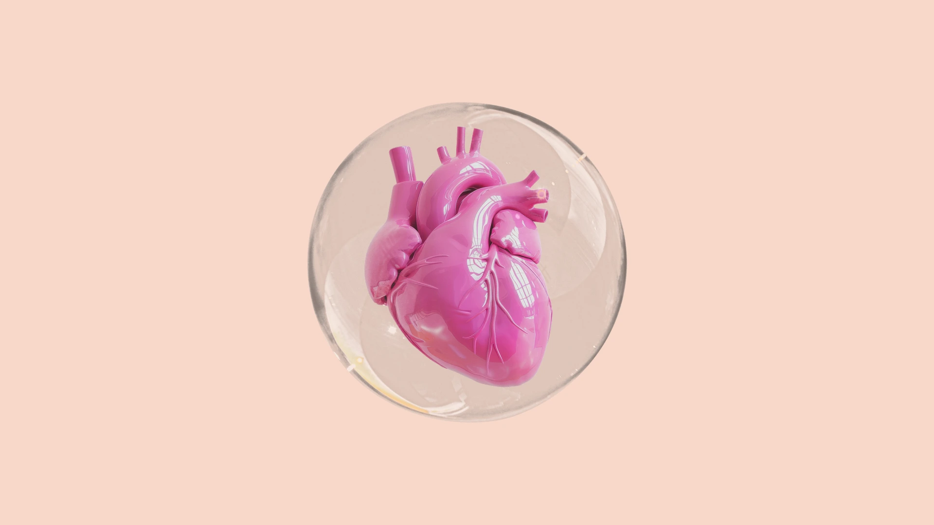 Corazón de papel ¿Cómo cuidar tu colesterol en la menopausia?
