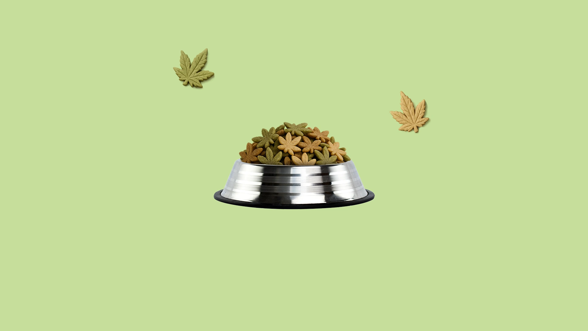¿Es seguro darle marihuana a tu perro o gato? ¡Firulais en modo zen!