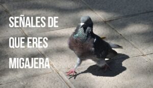 ¿Cómo saber si eres migajera? ¡Estas señales lo dicen a gritos!