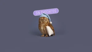 Vence el insomnio sin chochitos ¡Vuelve a dormir ya!