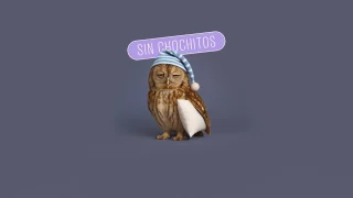 ¡Adiós, excusas! Ideas de propósitos fáciles para cada área de tu vida
