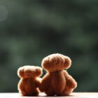 Películas de amor propio para no aceptar amores a medias