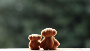¿Por qué sentimos celos? ¿Es una herida de la infancia? ¿Fantasmas del pasado?