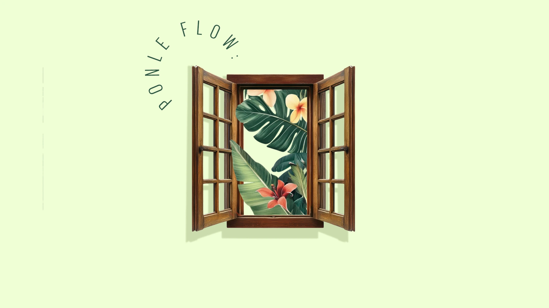 Plantas que debes tener en tu casa según el Feng Shui ¡Ponle flow!