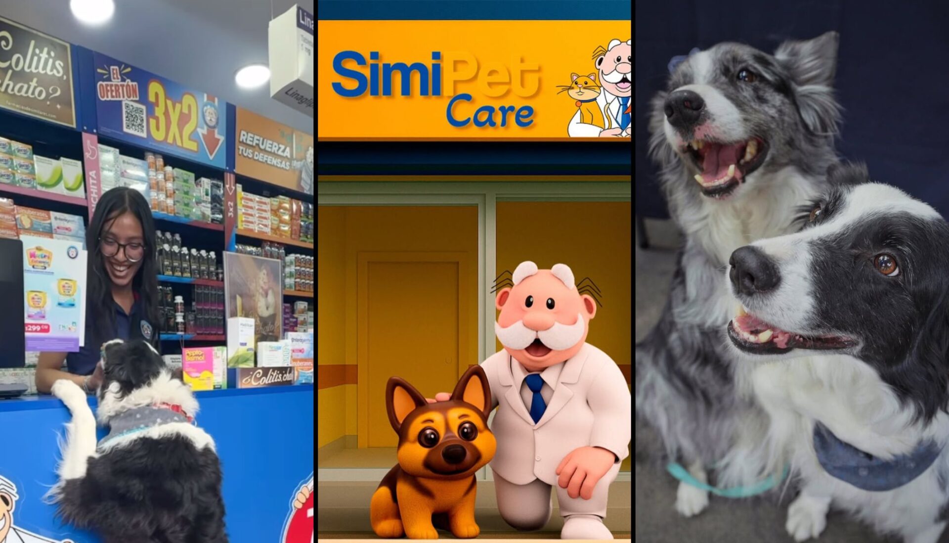 ¿Qué servicios hay Simi Pet Care? El Dr. Simi ahora es veterinario