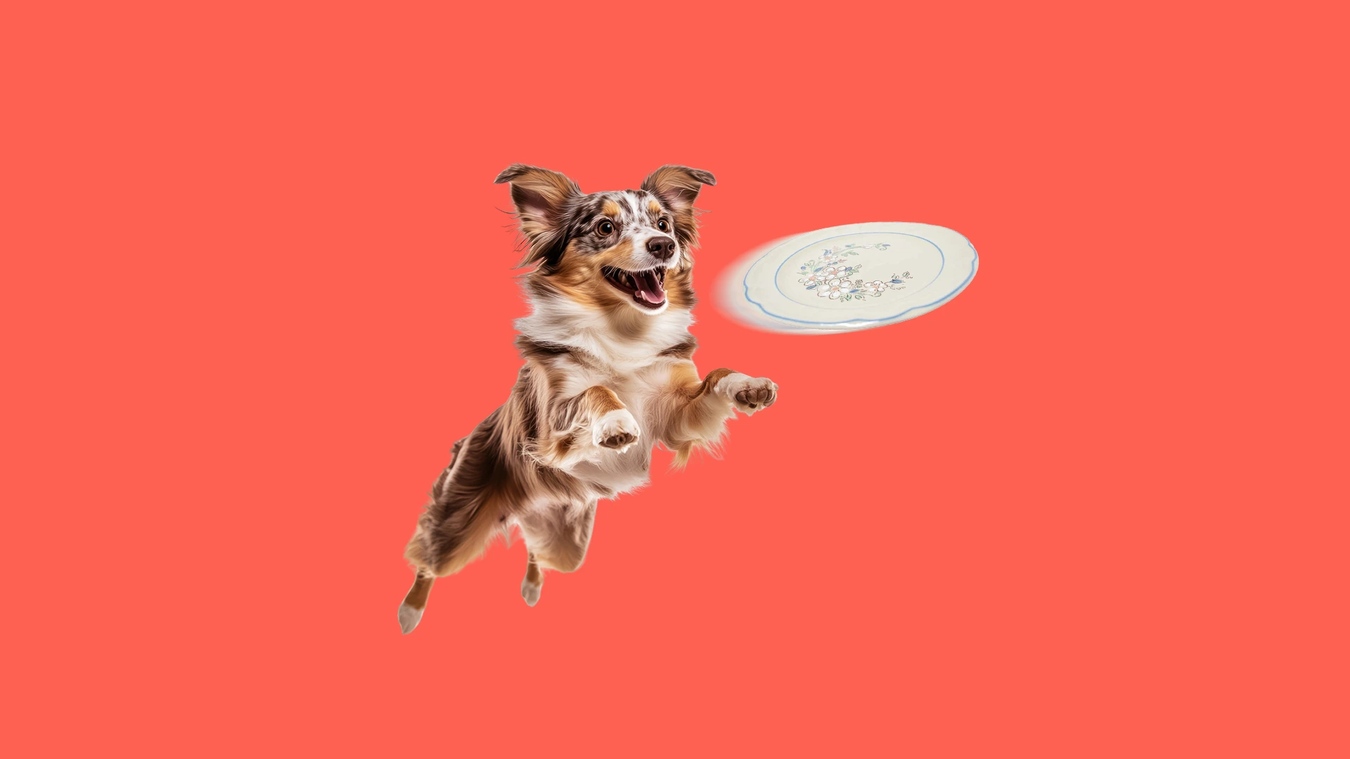 Tips para entrenar a tu perro en casa ¿Quién manda?