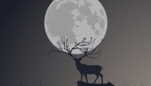 Luna de Ciervo en julio 2025: ¿Cuándo es y cómo aprovechar su energía?