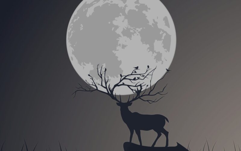 Luna de Ciervo en julio 2025: ¿Cuándo es y cómo aprovechar su energía?